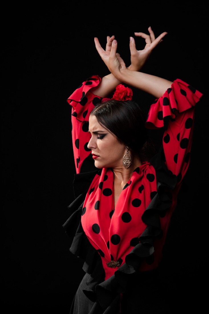 Flamenco en León