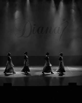 galeria-danza-diana-mendoza-0